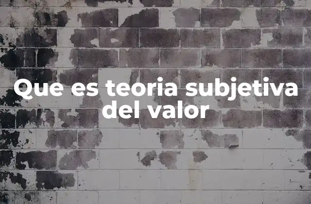 Que es Teoria Subjetiva Del Valor