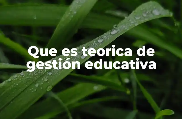 Que es Teorica de Gestión Educativa