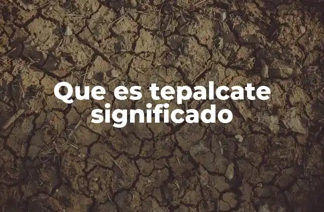 Que es Tepalcate Significado