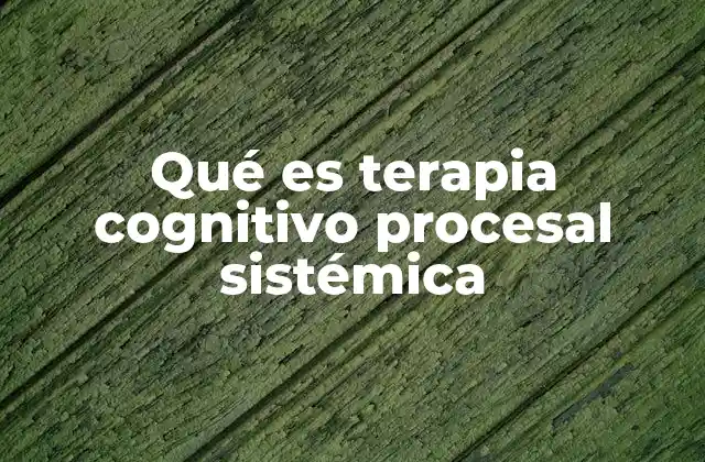 Qué es Terapia Cognitivo Procesal Sistémica 2 La importancia de abordar los sistemas en la salud mental