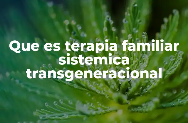 Cómo la terapia familiar transgeneracional aborda los conflictos familiares