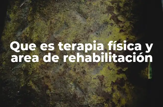 Que es Terapia Física y Area de Rehabilitación