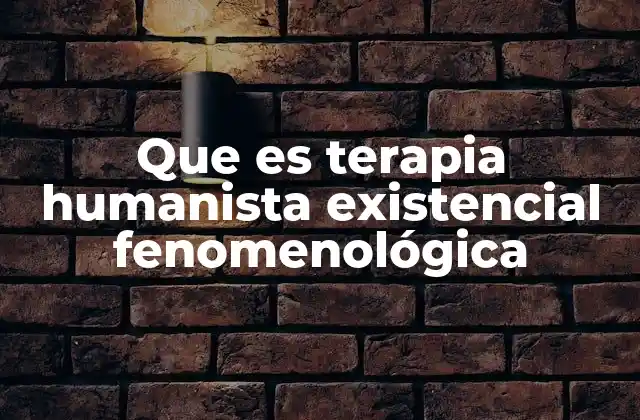 Que es Terapia Humanista Existencial Fenomenológica