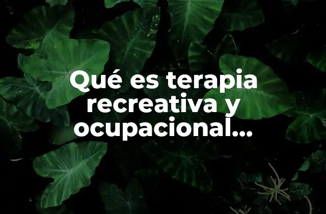Qué es Terapia Recreativa y Ocupacional Refiriéndose a Salud Mental