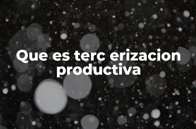 Que es Terc Erizacion Productiva