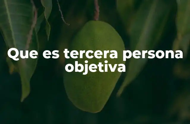 Que es Tercera Persona Objetiva