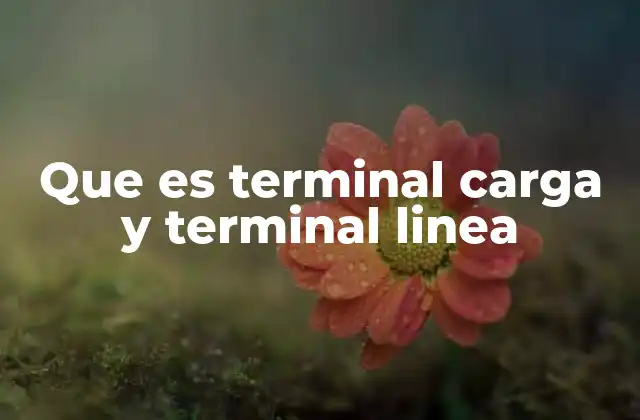Que es Terminal Carga y Terminal Linea