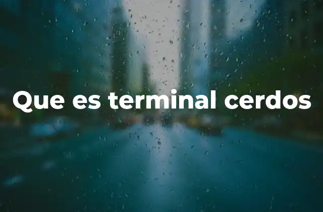 Que es Terminal Cerdos