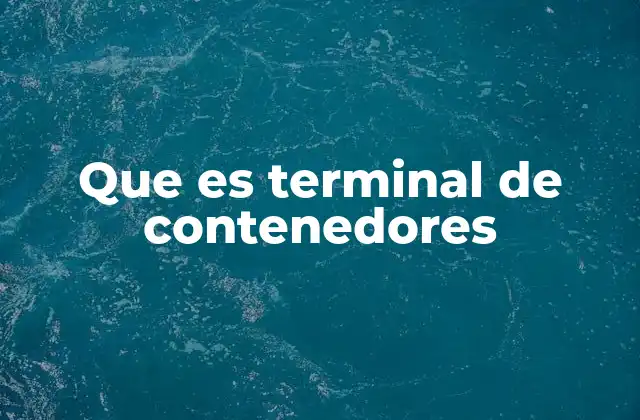 Que es Terminal de Contenedores