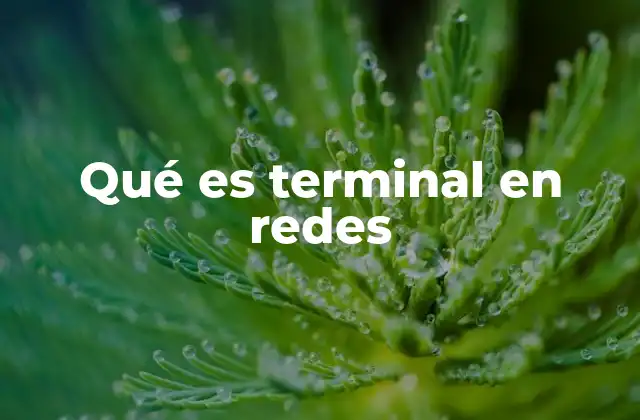 Qué es Terminal en Redes