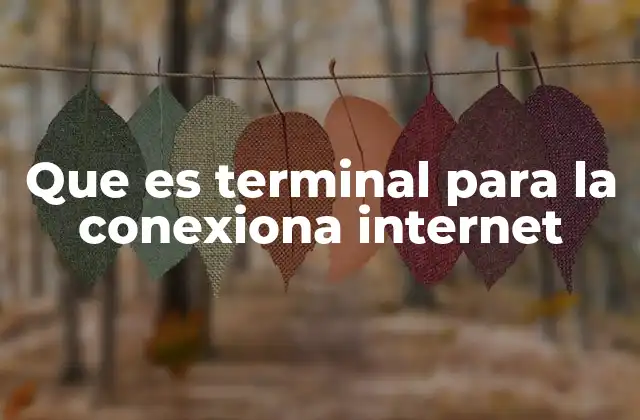 Que es Terminal para la Conexiona Internet