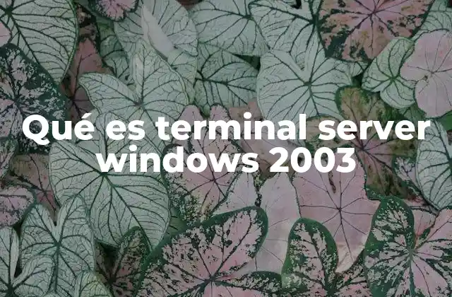 Qué es Terminal Server Windows 2003