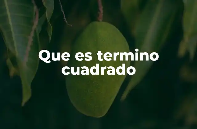 Que es Termino Cuadrado