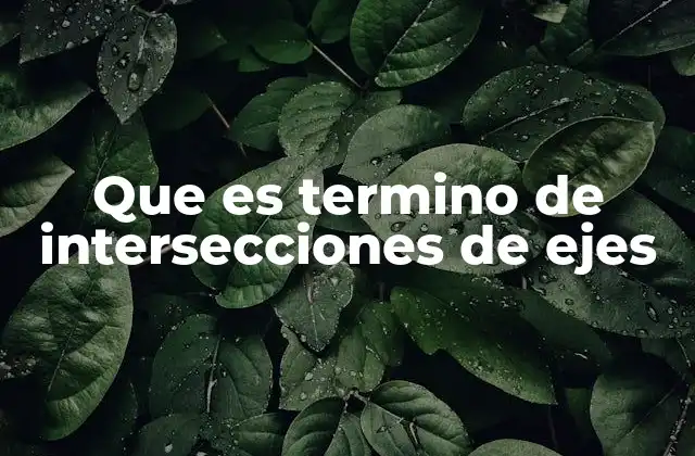 Que es Termino de Intersecciones de Ejes