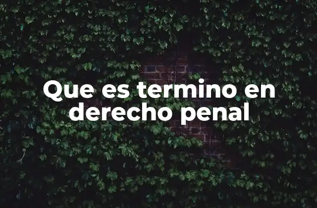 Que es Termino en Derecho Penal