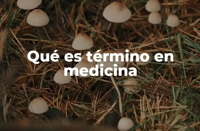 Qué es Término en Medicina