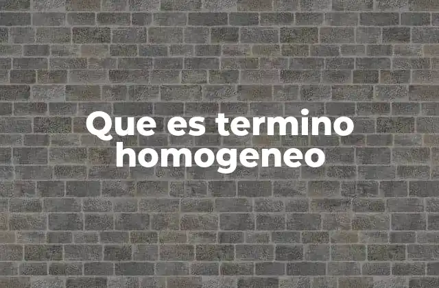 Que es Termino Homogeneo