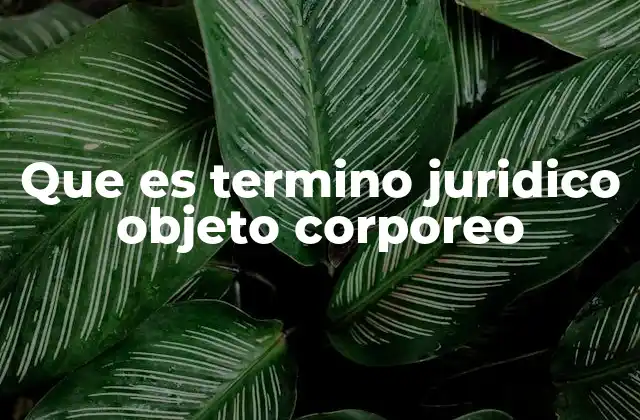El rol del objeto corpóreo en el derecho penal y civil