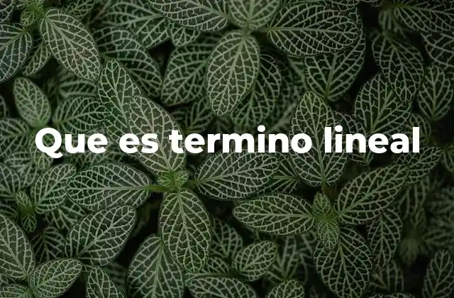 Que es Termino Lineal
