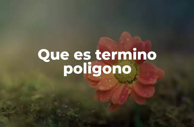 Que es Termino Poligono