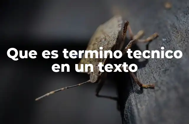 El rol del lenguaje especializado en la comunicación