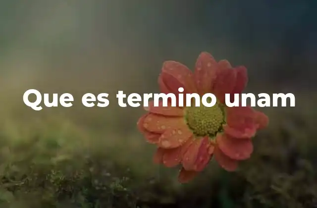 Que es Termino Unam 2 La importancia del sistema de términos en la vida universitaria
