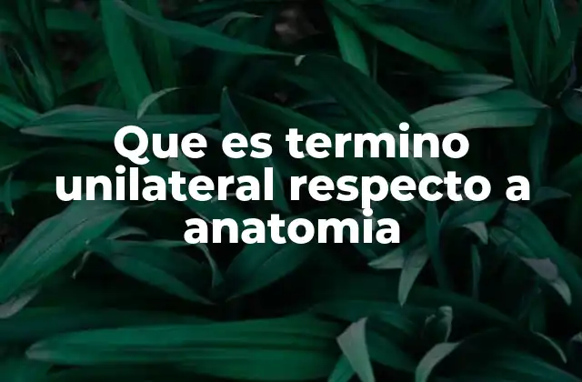 La importancia del enfoque lateralizado en la anatomía