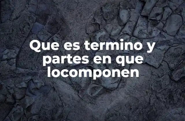 Que es Termino y Partes en que Locomponen