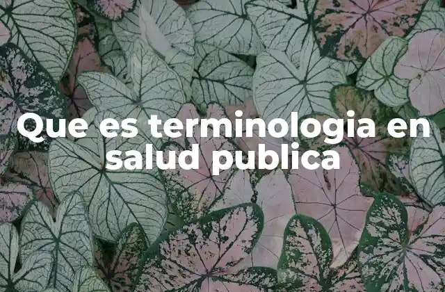 Que es Terminologia en Salud Publica