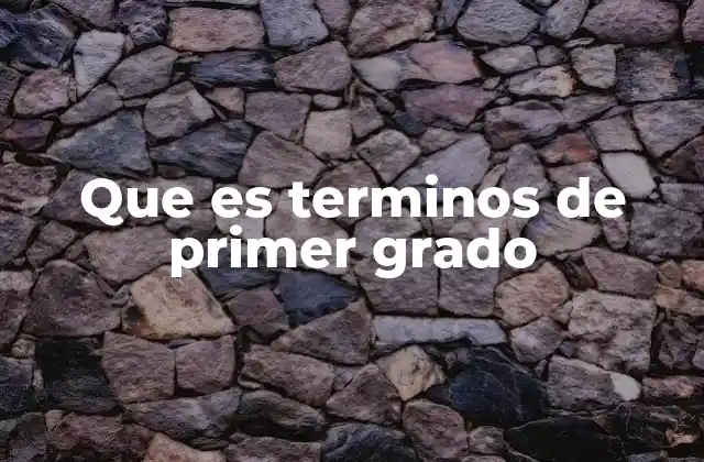 Que es Terminos de Primer Grado