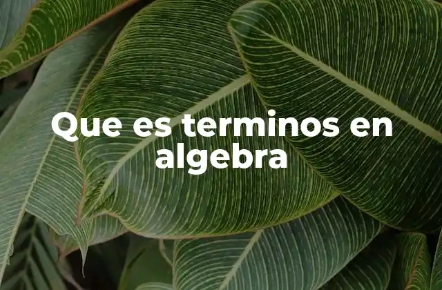Que es Terminos en Algebra