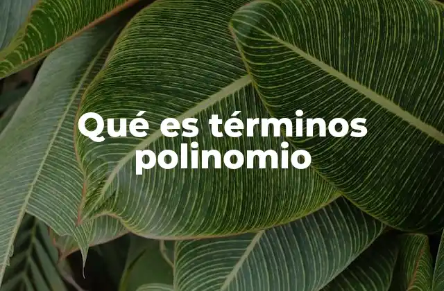 Qué es Términos Polinomio