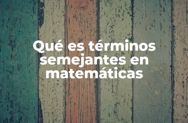 Qué es Términos Semejantes en Matemáticas