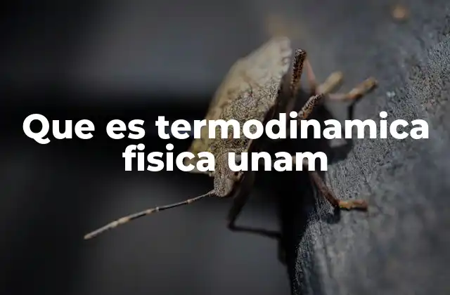 Que es Termodinamica Fisica Unam