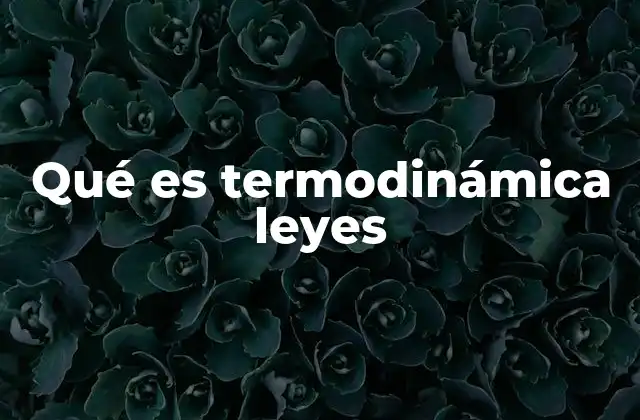Qué es Termodinámica Leyes