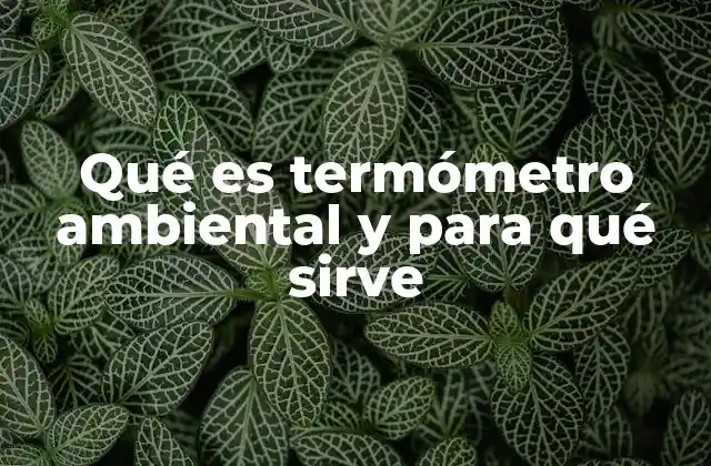 Qué es Termómetro Ambiental y para Qué Sirve 2 ¿Cómo se relaciona con el confort y la salud en los espacios?