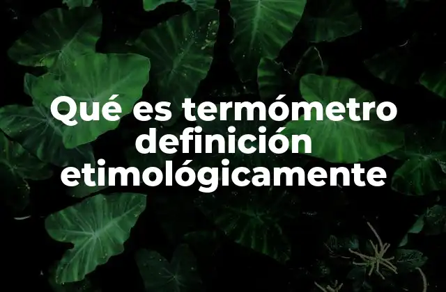 Qué es Termómetro Definición Etimológicamente