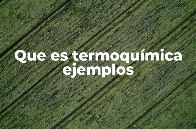 Que es Termoquímica Ejemplos