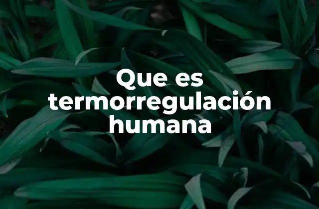 Que es Termorregulación Humana