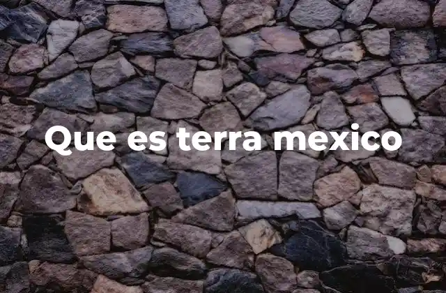 Que es Terra Mexico 2 El papel de Terra en el sistema energético nacional