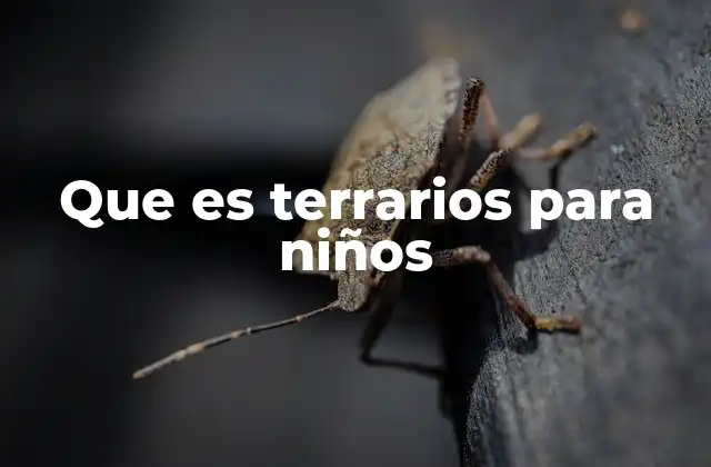 Que es Terrarios para Niños
