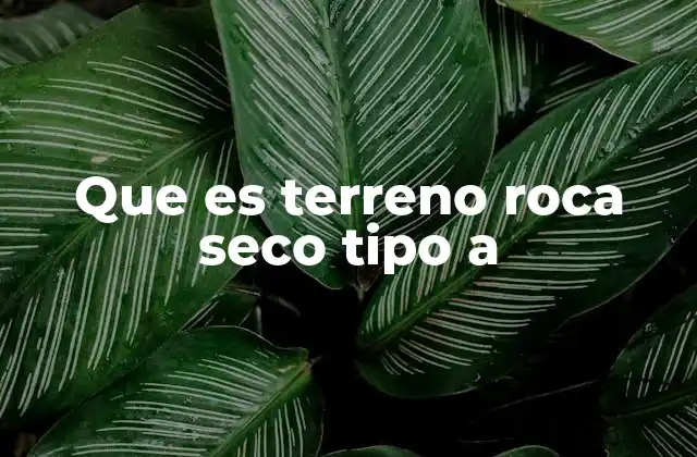 Que es Terreno Roca Seco Tipo a
