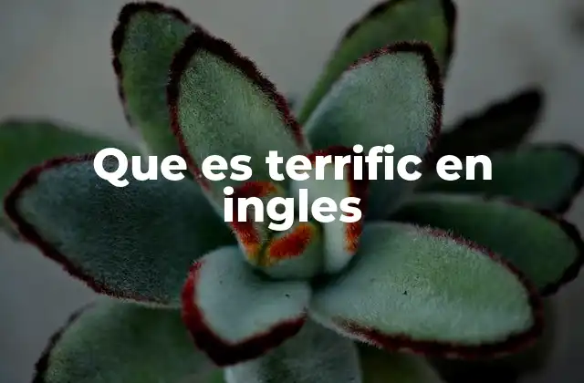 Que es Terrific en Ingles