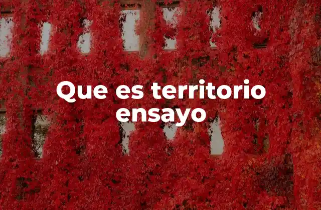Que es Territorio Ensayo