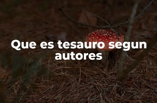Que es Tesauro Segun Autores