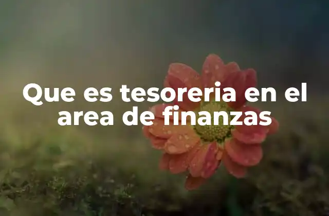 Que es Tesoreria en el Area de Finanzas
