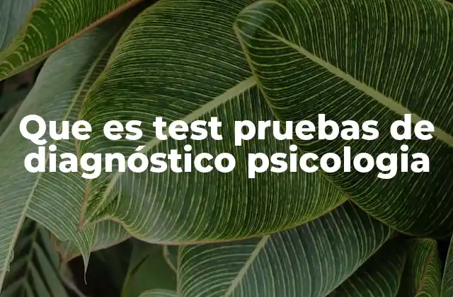 Que es Test Pruebas de Diagnóstico Psicologia