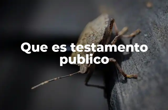 Que es Testamento Publico