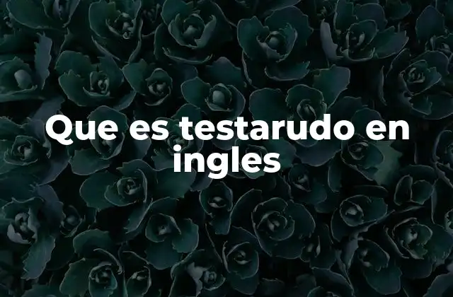 Que es Testarudo en Ingles 2 Cómo describir a alguien testarudo sin usar la palabra clave