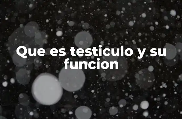 Que es Testiculo y Su Funcion 2 El papel del testículo en el sistema reproductivo masculino